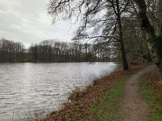 Mühlenteich