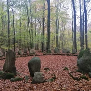 Kreisförmiger Familienfriedhof
