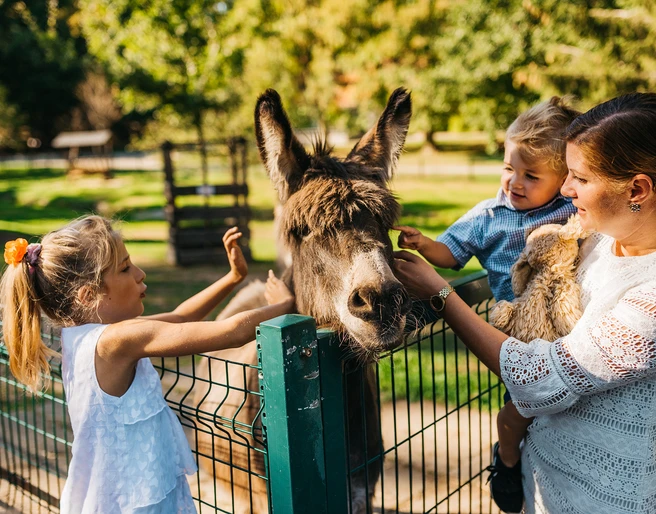 Tierpark Freiberg Tierpark Freiberg