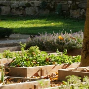 Im Klostergarten der Abtei Marienmünster gedeihen Gemüse- und Kräuterbeete unter strahlender Sonne.