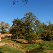 Fachwerkhäuschen an der Niese Ein traditionelles Fachwerkhäuschen steht malerisch vor einem Waldrand neben einem kleinen Bach.