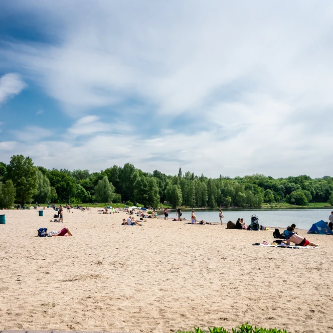 Nordstrand am Cospudener See - Leipziger Neuseenland