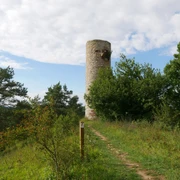 Heinturm Runder Steinturm auf einem bewaldeten Hügel mit Pfad, umgeben von Bäumen und bewölktem Himmel.
