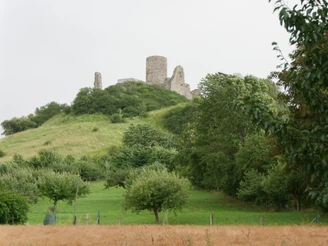 Desenberg Burgruine Desenberg auf grünem Hügel, umgeben von Wiesen und Bäumen unter leicht bewölktem Himmel.
