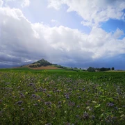 Der Desenberg aus der Ferne Ein grüner Hügel erhebt sich majestätisch unter einem dramatischen Himmel voller Wolken und Lichtstrahlen.