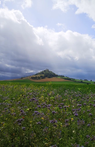 Der Desenberg aus der Ferne Ein grüner Hügel erhebt sich majestätisch unter einem dramatischen Himmel voller Wolken und Lichtstrahlen.