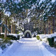 Winterliche Mariengrotte im Ortsteil Liemke in Schloß Holte-Stukenbrock Winterliche Mariengrotte im Ortsteil Liemke in Schloß Holte-Stukenbrock