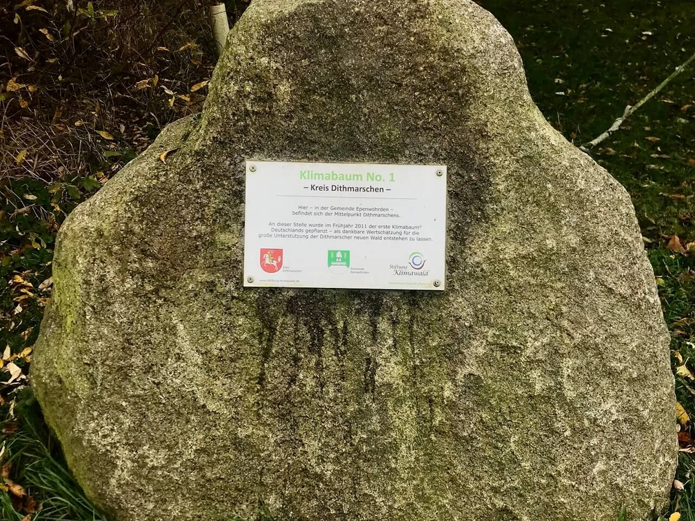 Klimabaum Infostein