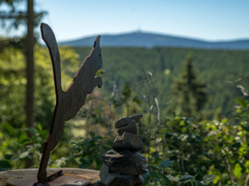 wildkatzen-walderlebnispfad-bad-harzburg