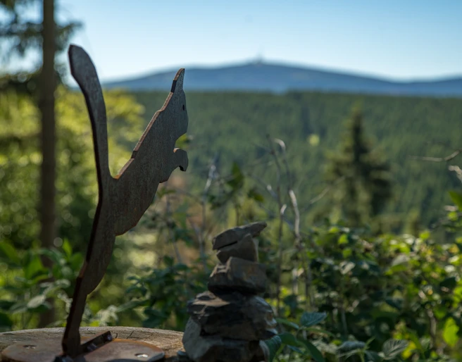 wildkatzen-walderlebnispfad-bad-harzburg