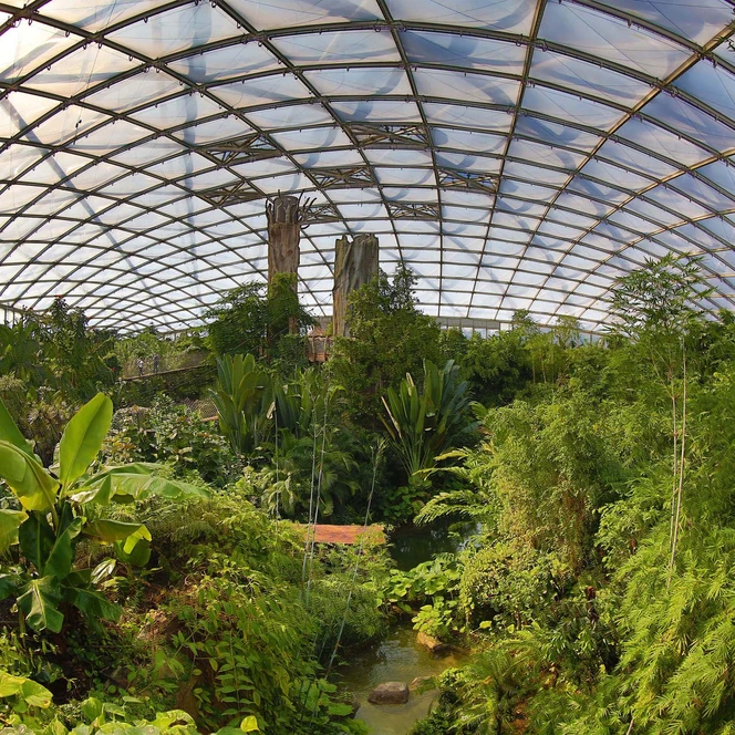 Ihre Tagung & Konferenz in Leipzig: Tropenerlebniswelt Gondwanaland im Zoo Leipzig entdecken