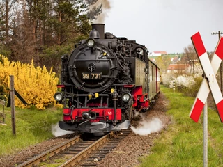 Frühling Zittauer Schmalspurbahn