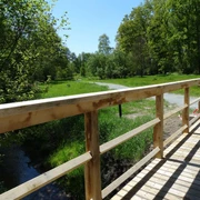 De-luhpadd-1-wanderweg-foto_ccbysa_foto©gemeinde-bispingen.jpg Holzbrücke mit Geländer überquert sanften Bach, umgeben von grünem Wald im Sonnenlicht.