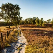 Fischbeker Heide  Fischbeker Heide Heideschleife Rundwanderweg