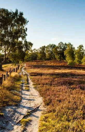 Fischbeker Heide  Fischbeker Heide Heideschleife Rundwanderweg