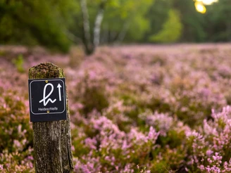 Wegweiser durch die Fischbeker Heide Wegweiser durch die Fischbeker Heide Rundwanderweg