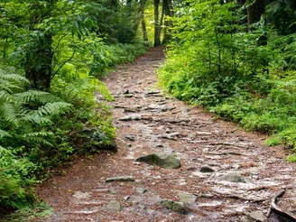 Heideschleife Schwarze Berge  Heideschleife Schwarze Berge Rosengarten Rundwanderweg Nordheide