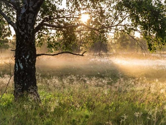 Weseler Heide Sonnenuntergang Weseler Heide Sonnenuntergang Heideschleife Rundwanderweg