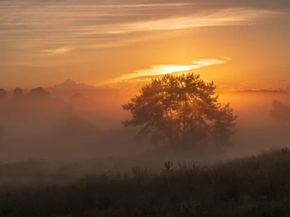 Sonnenaufgang Undeloh Sonnenaufgang Undeloh Heideschleife Radenbachtal