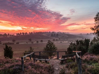 Wümmeberg Aussichtspunkt Blick vom Wümmeberg in die Heide an der Heideschleife Tütsberg Rundwanderweg