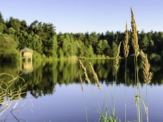Angelbecksteich im Sommer Heideschleife Angelbecksteich Hermannsburg im Sommer barrierefrei