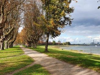 NE Rheinpark-Kastanienallee-am-Rhein c Steffi Lorbeer + Rhein-Kreis Neuss.jpg