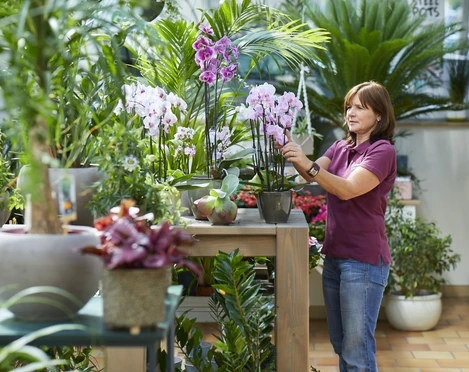 Blumen Lindner (3).jpg