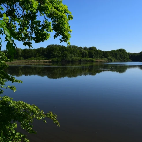 Norderteich See mit spiegelglatter Wasseroberfläche, umgeben von grünem Laub und dicht bewaldeten Hügeln.