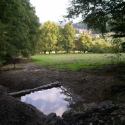 Sachsentaufe Waldlichtung mit flachem Teich im Vordergrund, umgeben von Bäumen, im Hintergrund Wiese.