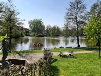 Eine ruhige Parkszene mit einem Teich im Hintergrund, eingerahmt von grünen Bäumen und Wiesen.