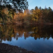 Donoper Teich  Herbstlaub reflektiert im ruhigen Wasser des Donoper Teichs, umgeben von dichten Wäldern.