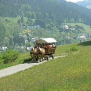 Kutschfart_Landschaft.jpg