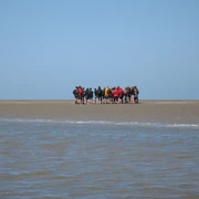 Baltrum Wattwanderung.JPG