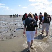 Baltrum Wattwanderung.JPG