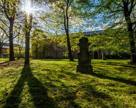 Alter Johannisfriedhof - Kultureinrichtungen in Leipzig Blick über die Wiese und die Bepflanzung des Johannisfriedhofs sowie die Backsteingebäude im Hintergrund