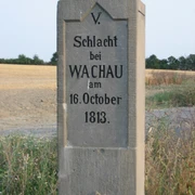 Apelstein 6 in Wachau