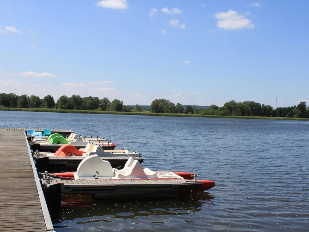 Seebad Schildau - Sehenswürdigkeiten in der Leipzig Region Blick auf das Seebad Schildau bei blauem Himmel, am Badesteg liegen Tretboote, Natur, Sonne, Ausflug