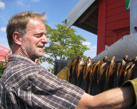 Frischer Räucherfisch am Pier 1 - Gastronomie in der Leipzig Region Ein Mitarbeiter des Pier 1 Biergartens betrachtet Räucherfische am Spieß, Gastronomie, Kulinarik