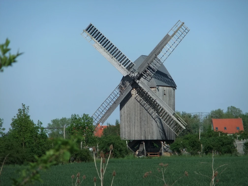 Bockwindmühle Lindennaundorf - Industriekultur in der Leipzig Region Blick auf die Bockwindmühle vor blühendem Feld, Kultur, Freizeit