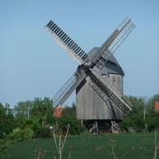 Bockwindmühle Lindennaundorf - Industriekultur in der Leipzig Region Blick auf die Bockwindmühle vor blühendem Feld, Kultur, Freizeit