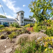 Botanischer Garten Leipzig - Freizeiteinrichtung in Leipzig Blick auf die Pflanzenwelt des Botanischen Garten, mit grünen Beeten im Vordergrund sowie einem der Gebäude im Hintergrund; Sommer, blauer Himmel, Blüten