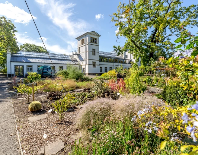 Botanischer Garten Leipzig - Freizeiteinrichtung in Leipzig Blick auf die Pflanzenwelt des Botanischen Garten, mit grünen Beeten im Vordergrund sowie einem der Gebäude im Hintergrund; Sommer, blauer Himmel, Blüten