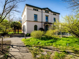 Botanischer Garten Leipzig - Freizeiteinrichtung in Leipzig Blick auf den grünen Garten und ein Gebäude im Botanischer Garten an einem Sommertag, Park, Bildung, Grün