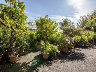 Botanischer Garten Leipzig - Freizeiteinrichtungen in Leipzig Blick auf den Bestand im Botanischen Garten Leipzig, Natur, Freizeit, Bildung