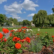 Rosengarten Delitzsch