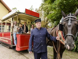 Döbelner Pferdebahn © Christian Hüller Fotografie