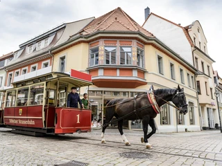 Döbelner Pferdebahn - Leipzig Region mit Kindern Eine Pferdestraßenbahn fährt eine Familie durch die historische Döbelner Innenstadt, Familie, Ausflug, KinderKoněspřežná tramvaj veze rodinu historickým centrem Döbelnu, rodina, výlet, dětiA family rides on a horse-drawn tram through the historic city centre of Döbeln, family, excursion, kidsUn tram hippomobile conduit une famille à travers le centre historique de la ville de Döbeln, famille, excursion, enfantsRodzina podczas przejażdżki tramwajem konnym po terenie historycznego centrum Döbeln, rodzina, wycieczka, dzieci