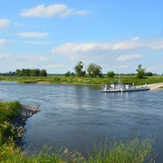 Elberadweg in Dommitzsch