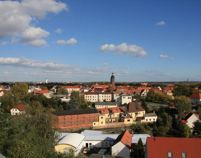 Blick vom Burgberg Eilenburg