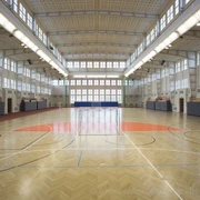 Ernst-Grube-Halle - Sport in Leipzig